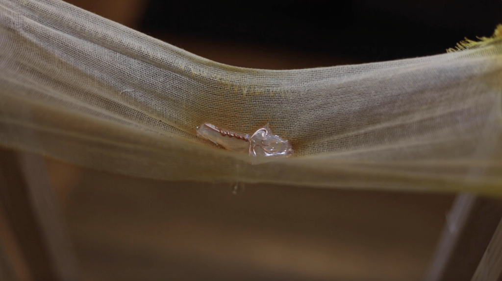 スクリーンショット 2024-12-20 0.12.19